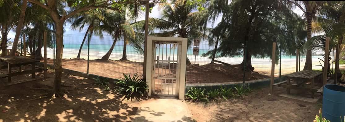 شقة سان خوان  في Beach Front Apt Isla Verde 2 المظهر الخارجي الصورة